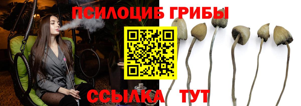 Елабуга  Псилоцибиновые грибы MAGIC MUSHROOMS  Вход с VPN  Псилоцибиновые грибы GOLDEN TEACHER 