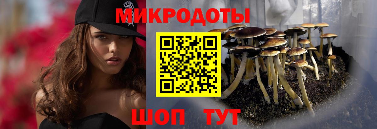 Галлюциногенные грибы ЛСД Елабуга